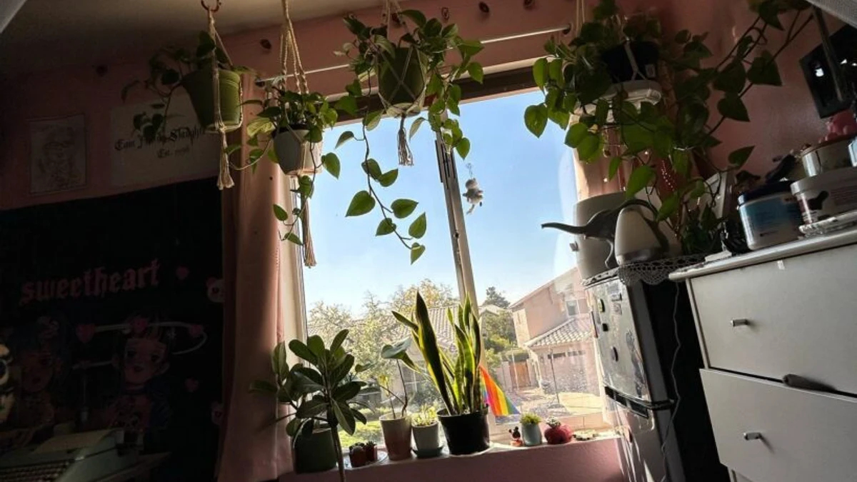 Abundant greenery with multiple plant varieties throughout