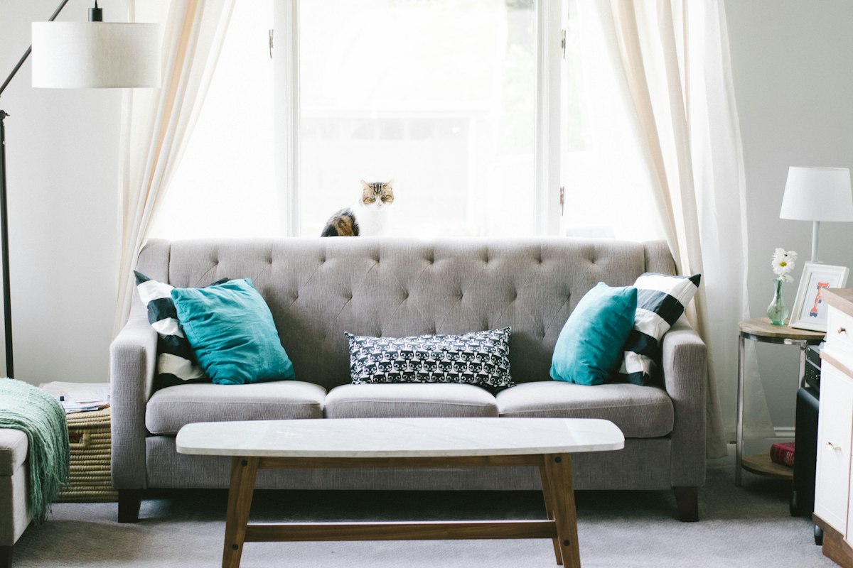 10 Hottest Sofa Trends for 2026 to Transform Your Living Room